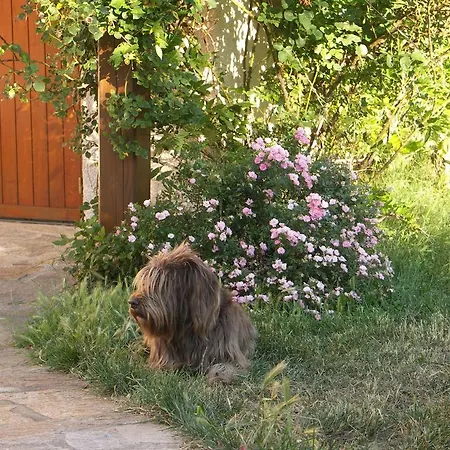 Croix Blanche Bed & Breakfast