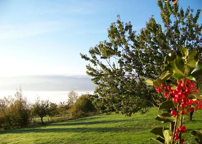 Croix Blanche Bed & Breakfast 3*
